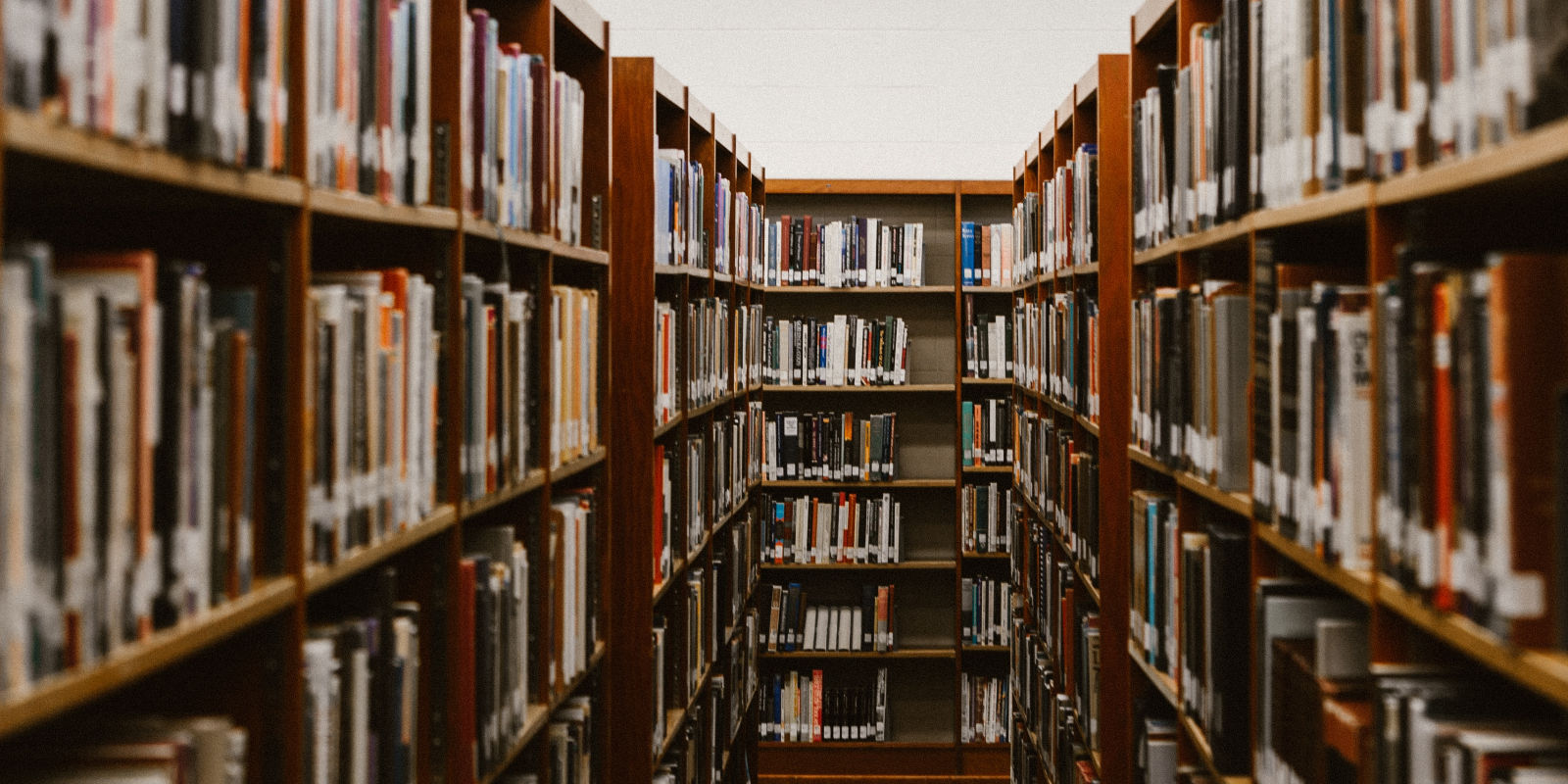 The House of Commons Education Committee 2022: our submission and the oral evidence session 10.1.23